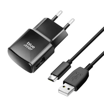 Chargeur USB A 2A + Câble USB A/Micro-USB Black 1m BlueStar