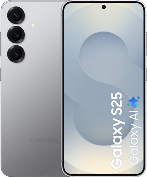 Samsung Galaxy S25 S931 5G DS 12/128Gb Silver Shadow