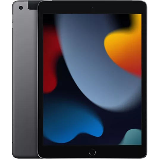 Apple iPad 10.2 9.Gen 256GB WiFi Grey