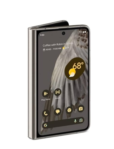 Google Pixel Fold 5G DS 12/256GB Black