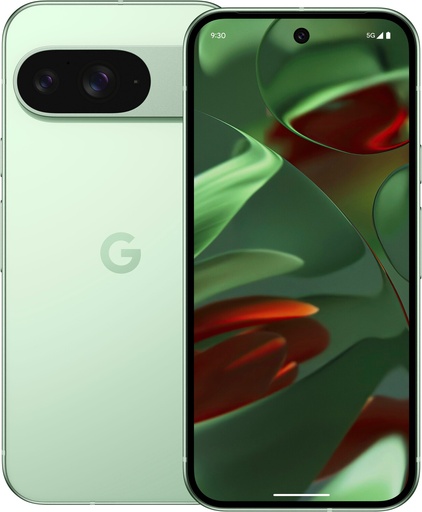 Google Pixel 9 5G DS 12/128GB Wintergreen