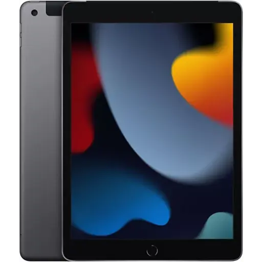 Apple iPad 10.2 9.Gen 256GB WiFi Grey